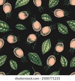 Wild rose flowers drawing and sketch with pointillism on black backgrounds. Vintage pattern of branch with rosehip fruits and leaves.
