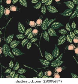 Wild rose flowers drawing and sketch with pointillism on black backgrounds. Vintage pattern of branch with rosehip fruits and leaves.