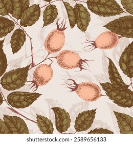 Wild rose flowers drawing and sketch with pointillism. Vintage pattern of branch with rosehip fruits and leaves.