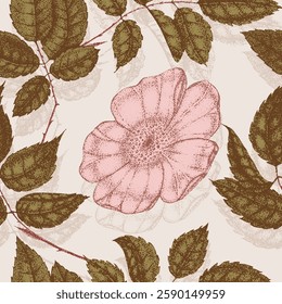 Wild rose flowers drawing and sketch with pointillism. Vintage pattern of branch with rosehip fruits and leaves.