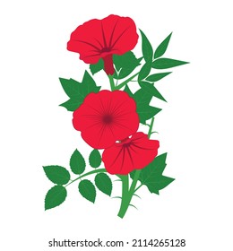 Wild rose flowers on isolated white background.Vector illustration hand drawn doodle.