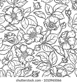 wild rose flowers seamless pattern