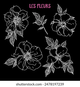 Wild Rose Hüftblumen abstrakte Skizze Doodles Illustration, Blumenposter Design mit Text in Französisch, LES FLEURS Zitat