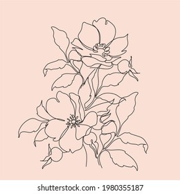 wild rose one line art vector. Botanical line drawing minimalist