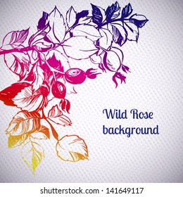 wild rose plant rainbow background vector illustration. the leaves are painted with ink and brush. decorative dots and stripes
