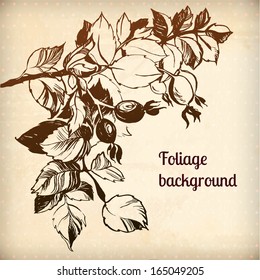 wild rose plant vector background illustration. the leaves are painted with ink and brush.