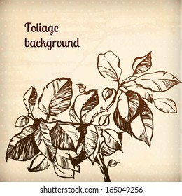 wild rose plant vector background illustration. the leaves are painted with ink and brush.