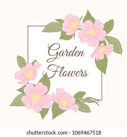 Wild rose, rosa canina, dog rose garden flowers decorated corner frame template. Pink blossom, green leaves. Text placeholder. Beige background. Vector design illustration.