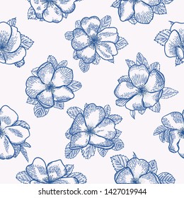 Wild rose seamless pattern. Blue and White background. Botanical illustration. Vector drawing.