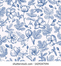 Wild rose seamless pattern. Blue and White background. Botanical illustration. Vector drawing.