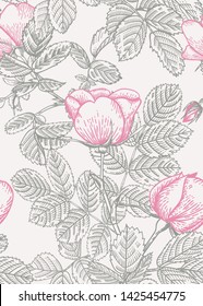 Wild rose seamless pattern. Pastel background. Botanical illustration. Vector drawing.