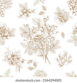 Wild rose seamless pattern.Rosa Canina vector sketch illustration