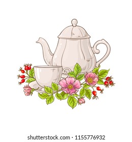 wild rose tea illustration