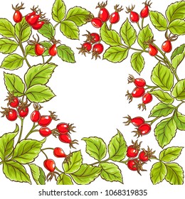 wild rose vector frame