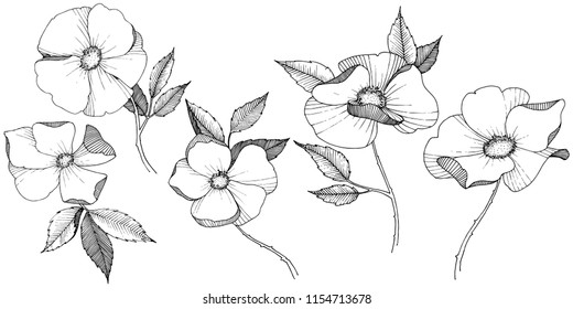 Wild rose in a vector style isolated. Full name of the plant: rose. Vector flower for background, texture, wrapper pattern, frame or border.