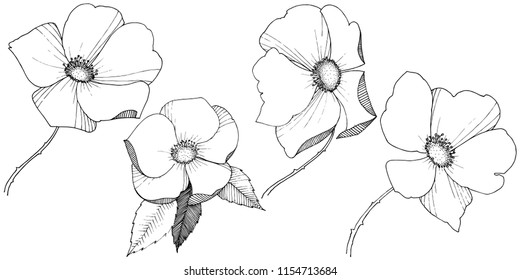Wild rose in a vector style isolated. Full name of the plant: rose. Vector flower for background, texture, wrapper pattern, frame or border.
