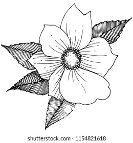 Wild rose in a vector style isolated. Full name of the plant: rose. Vector flower for background, texture, wrapper pattern, frame or border.