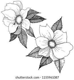 Wild rose in a vector style isolated. Full name of the plant: rose. Vector flower for background, texture, wrapper pattern, frame or border.