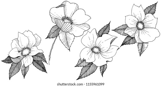 Wild rose in a vector style isolated. Full name of the plant: rose. Vector flower for background, texture, wrapper pattern, frame or border.