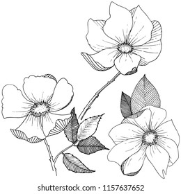 Wild rose in a vector style isolated. Full name of the plant: rose. Vector flower for background, texture, wrapper pattern, frame or border.