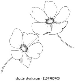 Wild rose in a vector style isolated. Full name of the plant: rose. Vector flower for background, texture, wrapper pattern, frame or border.