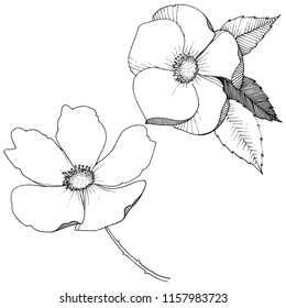 Wild rose in a vector style isolated. Full name of the plant: rose. Vector flower for background, texture, wrapper pattern, frame or border.