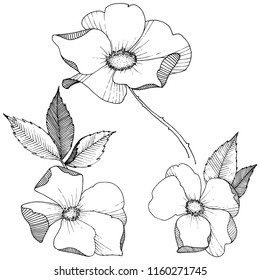 Wild rose in a vector style isolated. Full name of the plant: rose. Vector flower for background, texture, wrapper pattern, frame or border.