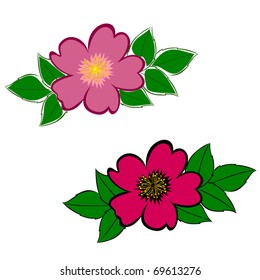 Wild Rose Vectors - EPS10