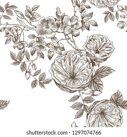 Wild roses blossom branch seamless pattern. Vintage botanical hand drawn illustration. Spring flowers of garden rose, dog rose. Vector design. Can use for greeting cards, wedding invitations, patterns