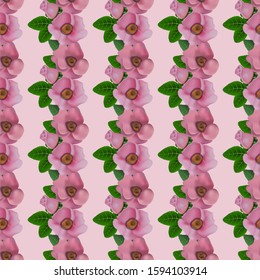 Wild roses, floral seamless pattern. Vector background.