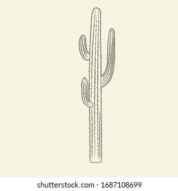 Wilde Saguaro cacti Skizze. Handgezeichnete Kakteen einzeln auf hellem Hintergrund. Gravieren des Vintage-Stils. Vektorillustration.