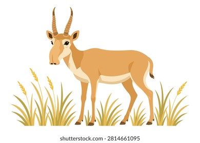 Wild Saiga Antelope Standing In Dry Grass