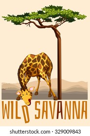 Wild Savanna theme with giraffe and tree illustration