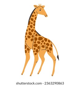 Wild savannah animal. Cute giraffe standing, looking back. African savanna habitant, safari zoo. Tall spotted camelopardalis with long neck. Flat isolated vector illustration on white background