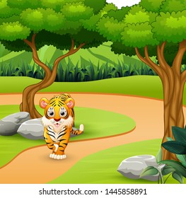 Wild Scary Tiger Walking In The Jungle