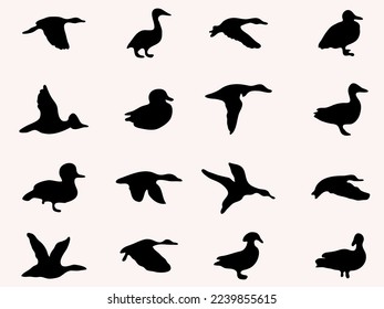 wild sea duck silhouettes .flying duck shadow vector illustration