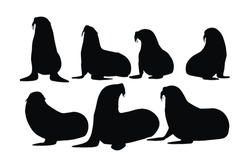 Wild Sea Lions Sitting In Different Positions. Big Sea Creatures And Sea Lions Sitting, Silhouette On A White Background. Seals Full Body Silhouette Collection. Big Sea Lion Silhouette Bundle Design.