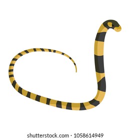 wild serpent animal with danger poison
