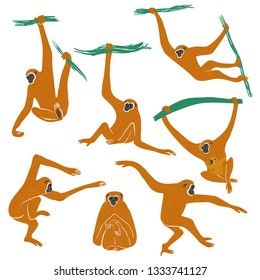 Wild set of funny monkeys. Isolated Gibbon icons in action: standing, sitting, hanging, jumping.