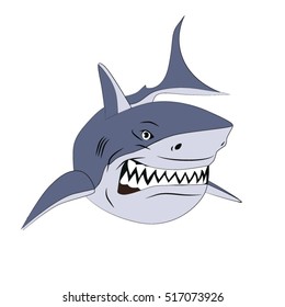 wild shark