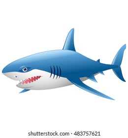 Wild shark on white background