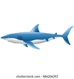 Wild shark on white background