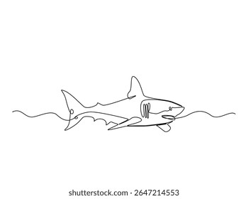 Wild shark in single outline illustration. Continuous line art drawing of shark fish.