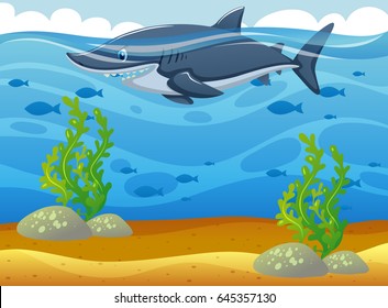 Wild shark swimming under the ocean illustration