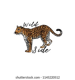 Wild side slogan. Leopard. Typography graphic print, fashion drawing for t-shirts. Vector stickers,print, patches vintage