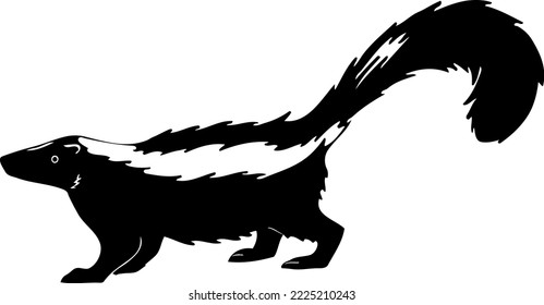 Wild Skunk Walking Vector Illustration