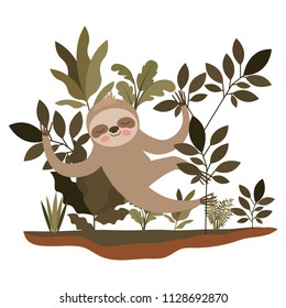 wild sloth in the jungle scene