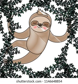 wild sloth in the jungle scene