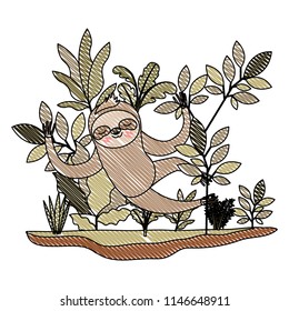 wild sloth in the jungle scene