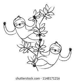 wild sloths couple in the jungle